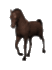 caballo1.gif (16288 bytes)