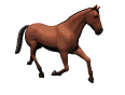 caballo3.gif (23611 bytes)