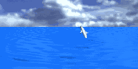 delfin4.gif (39019 bytes)